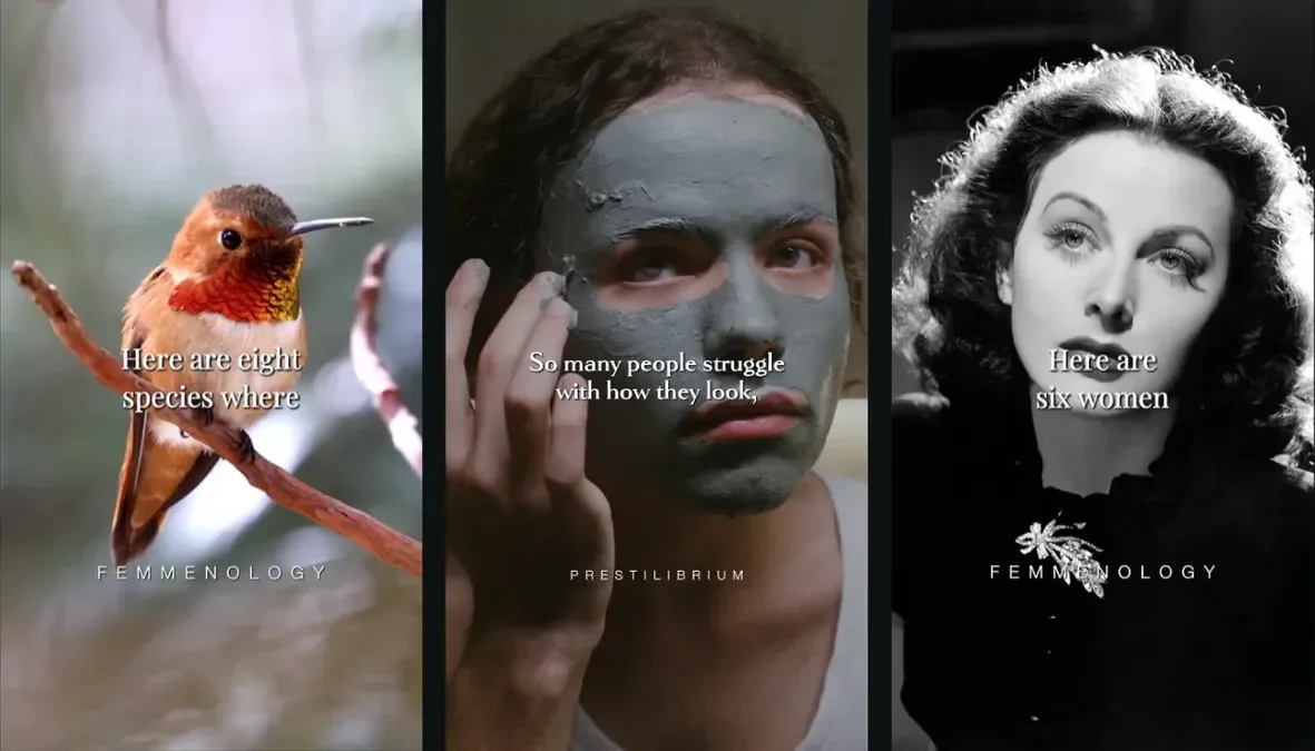 Storytelling Reels